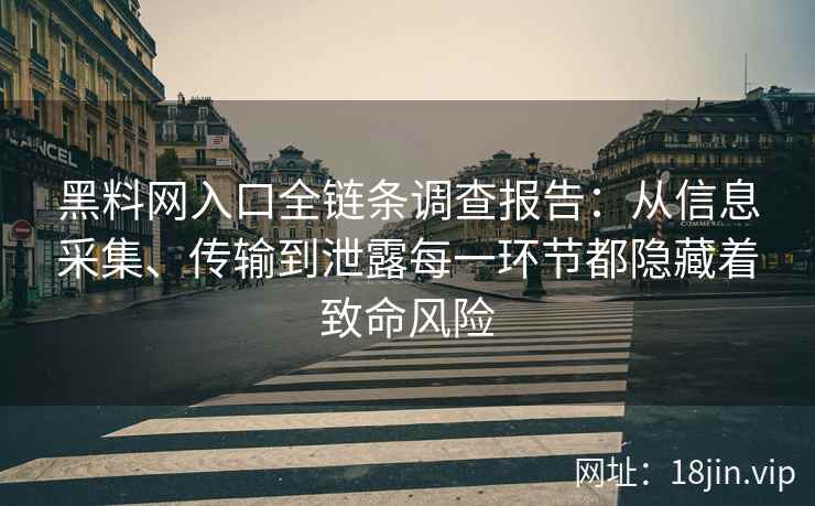 黑料网入口全链条调查报告：从信息采集、传输到泄露每一环节都隐藏着致命风险